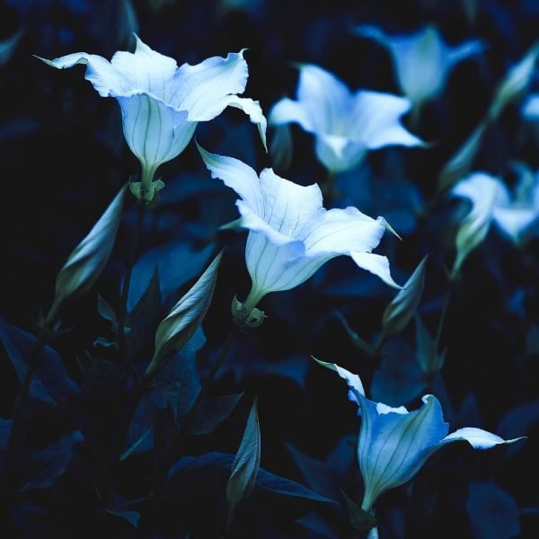 Signature: rvyBWQazpYGwnzitzkkfvOYkDydPBf2pMB6VgVrwv+JUjXy1PfZkTnEqPl5SXuNY57l68tUx1GbCHyo1XBa/xhv7dnjjmAJO7DmofPl/D0aosFphciDc02Mm51015uPh5/pqNSf4ZxxT52u+0xxin8MS470Msnb/TMF1XcxbbFkrxrL0dETdZ6U8BpCk0jJ10d4IR2KuF2T20cZES+t6r8SIMT58fM7G/uJ35caDWtkwJ0wZnlQXQ9gJz8Ug5LjUw2pT+zr/6kYuguOvCEb9VwmCA8m4OPkP4TUnHn1MIgM=