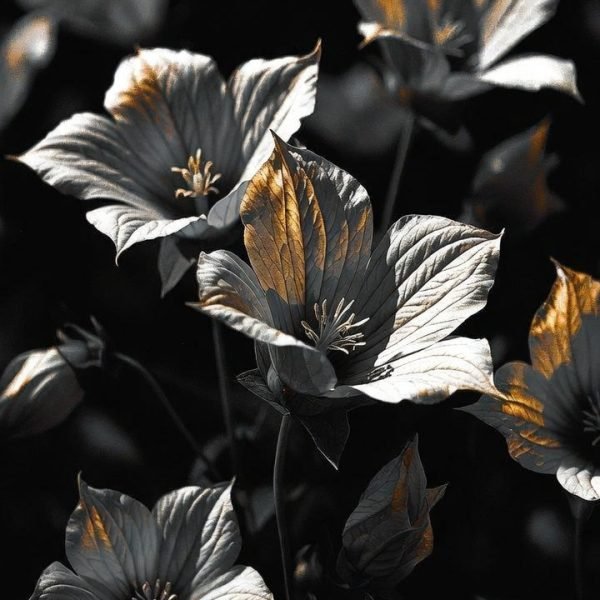 Signature: f8G6cNbyUSI1OaqOdraX2HVGfaT8efk2qunHpQhseTgRB/8/4UmxJDmkIpCJ/9tMgrqWIXTfY5duWTdpLCUwCDw7DaiAHz00hkyhHSyMvNE/FgODy157vjwXmo1/LKtCp95sJgRpueNSf56LN3yD0zgpAdr4RkyzcSToj59zSNHtAeqNvG+VK2blqF3RfwXiMntt5jFgyLfNJZEwpiQpNYuM60dyHep+aFePWS4nw34smzv7JZDw1QIK4MIkmu0y1cIMJFAC/Mx6MykcEHGPtlnytPVtpI7hjQiSh0qWT3ae7zSixkFbw5GV4J7GJ42xkihQVxj6PWPrfjocg92AYg==